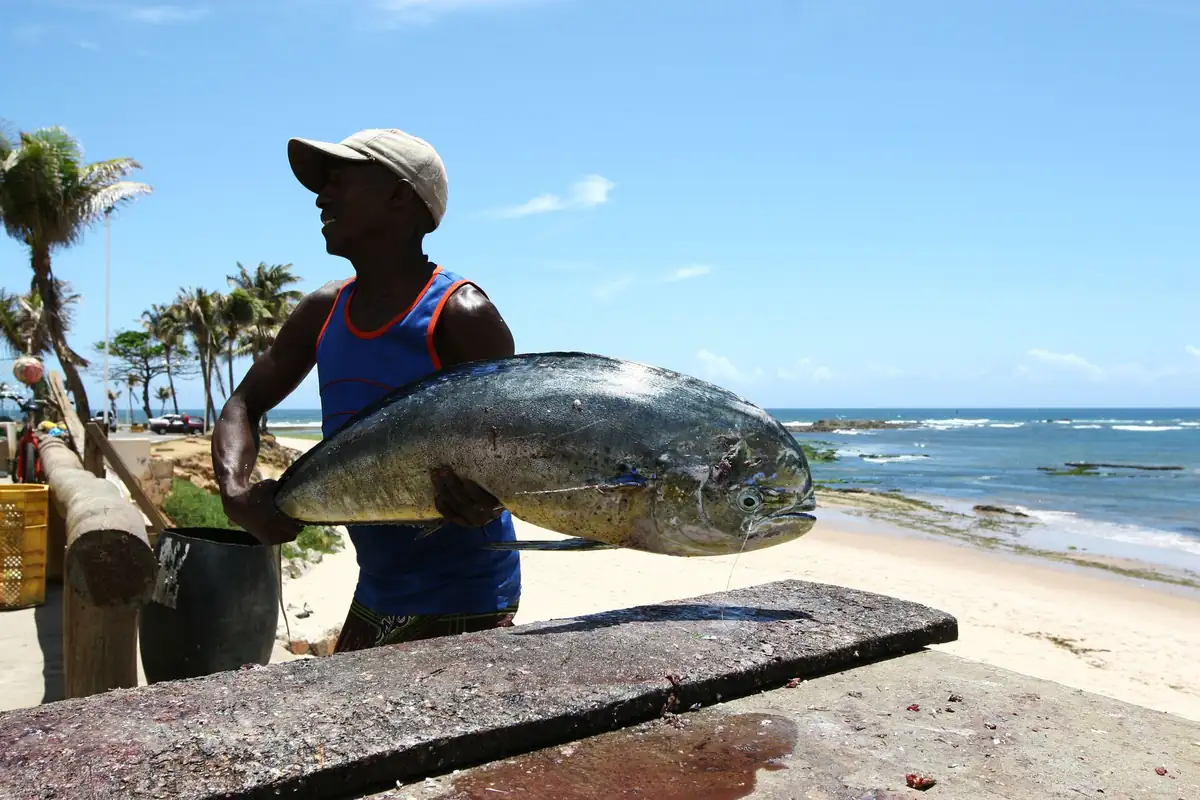 Pituba, Salvador